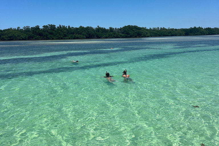 Sandbar, Snorkel, and Sunset Sail with Drinks in Key West