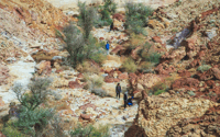 Hiking in the mountains - Housity