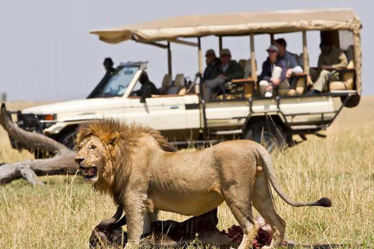 Majestic landscapes: A 5day Safari Adventure