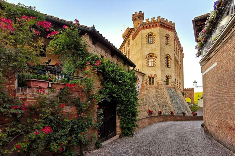 Milan: Barolo Vineyards & UNESCO Wine Cathedral Experience