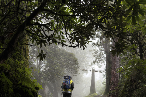 Pokhara: Queen Forest Hike to Santi Stupa & Lake Boating