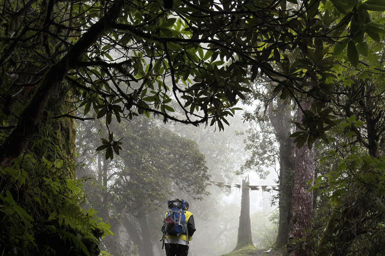 Pokhara: Queen Forest Hike to Santi Stupa & Lake Boating