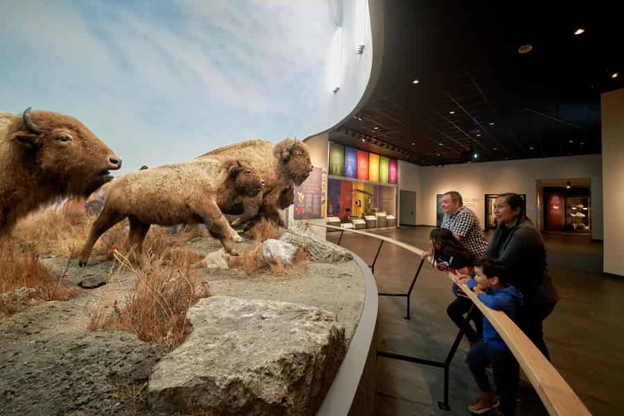 Winnipeg: All-Attractions-Einlass zum Manitoba Museum. Foto: GetYourGuide Winnipeg: All-Attractions-Einlass zum Manitoba Museum. Foto: GetYourGuide