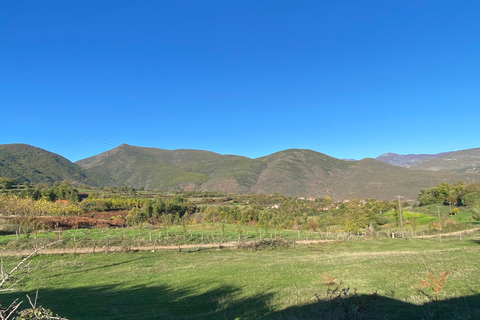 From Tirana/Durres: THINK GLOBAL, ACT AS A LOCAL