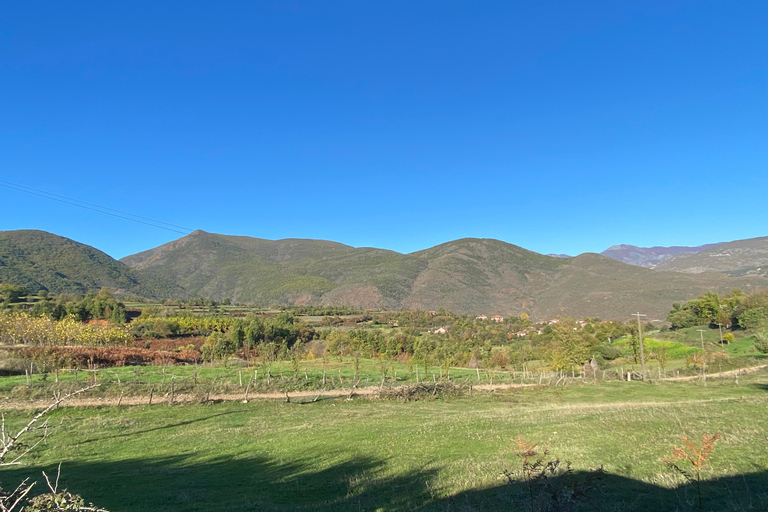 From Tirana/Durres: THINK GLOBAL, ACT AS A LOCAL