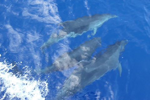 Heraklion Luxury Catamaran Dia Isla -Gourmet Lunch Top RatedPrincipal - Matin ou coucher de soleil