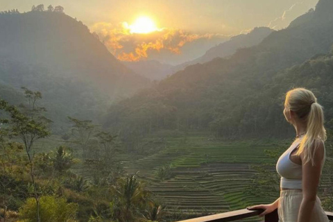 Yogyakarta: Selogriyo Tempel en Java Rijstterrassen Wandeling