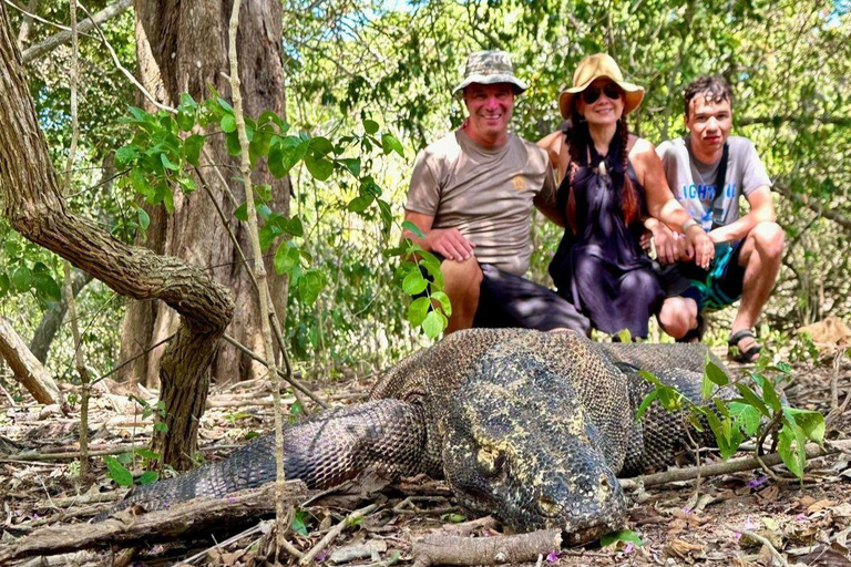 Bali: Komodo Island One Day Trip with Flights and Snorkeling