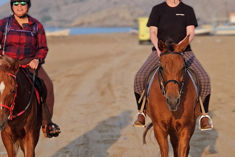 Équitation à Oman