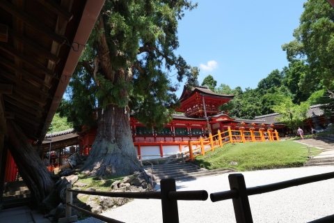 Nara: Halbtägige UNESCO-Wanderung und lokale Kultur
