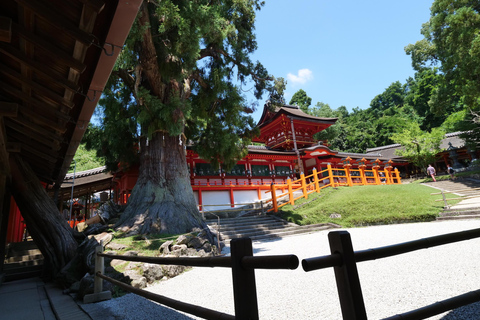 Nara : visite d&#039;une demi-journée au patrimoine de l&#039;UNESCO et visite à pied de la culture locale