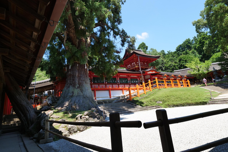 Nara: Tour a pie de medio día por el Patrimonio de la UNESCO y la Cultura Local