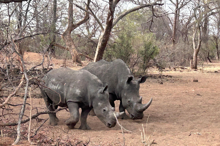 3 Días Explora Zambia, Zimbabue y el Parque Chobe en Botsuana