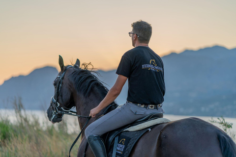 Creta a Caballo: Hipnotizante paseo al atardecerCreta a Caballo: Hipnotizante viaje al atardecer