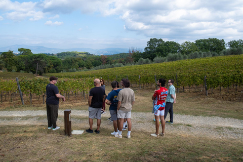 Firenze: tour guidato in bici elettrica nella campagna toscana con pranzo
