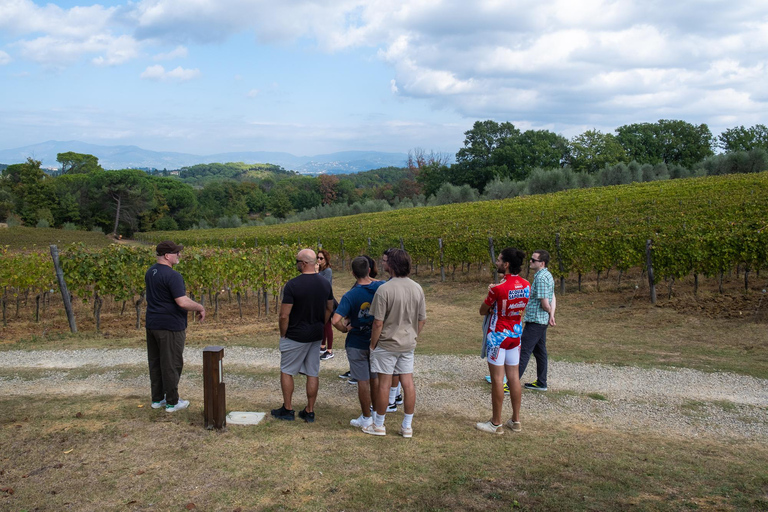 Firenze: tour guidato in bici elettrica nella campagna toscana con pranzo