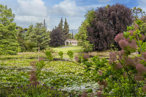 Tour VIÑA CONCHA Y TORO + CASA MARQUES - Chile, from Santiago.