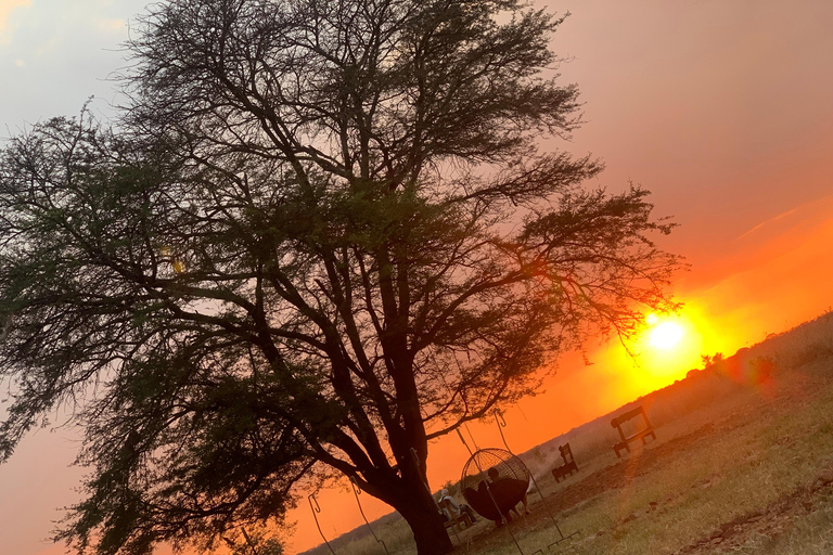 A 4-Days Budget Camping Safari from Arusha