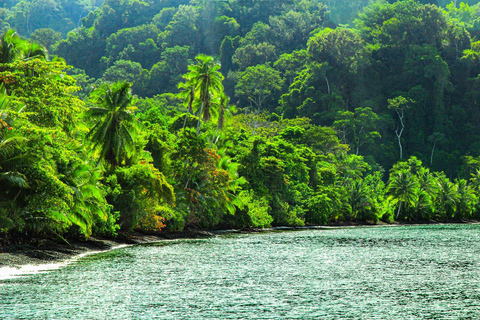 Corcovado National Park: Sirena Day Tour Drake Bay-Corcovado