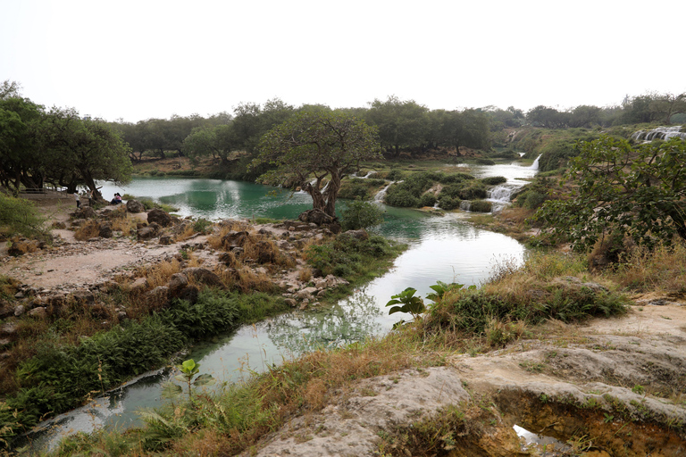 Salalah: Private Jebel Safari Khareef Monsoon Tour