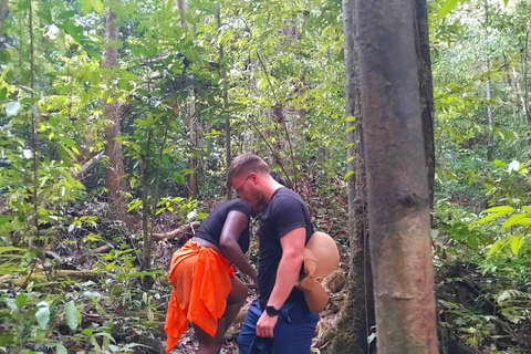 Khao Sok: Trekking privado de um dia, jantar na selva e safári noturno