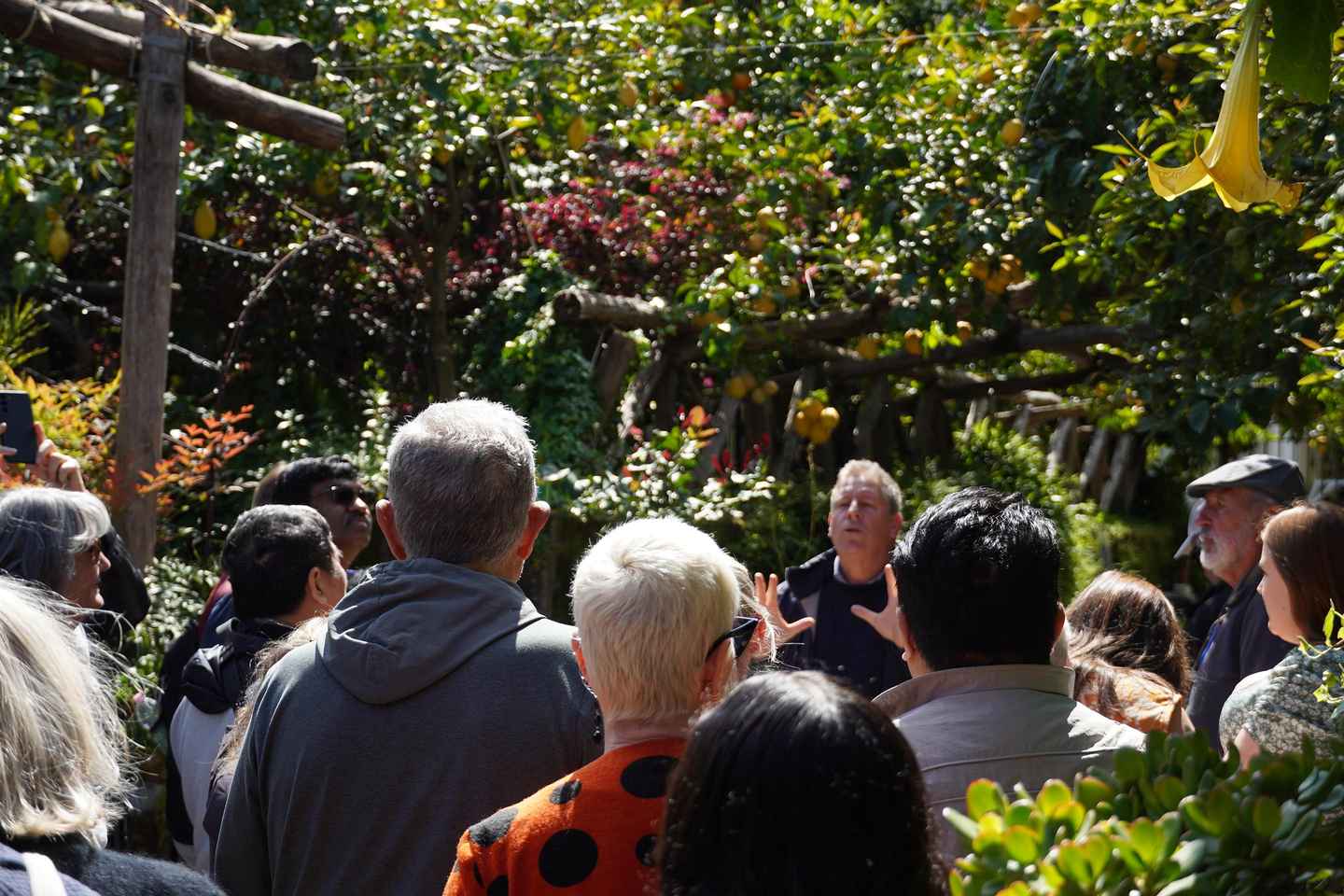 Frá Róm: Dagsferð til Pompei, með leiðsögn eða miða