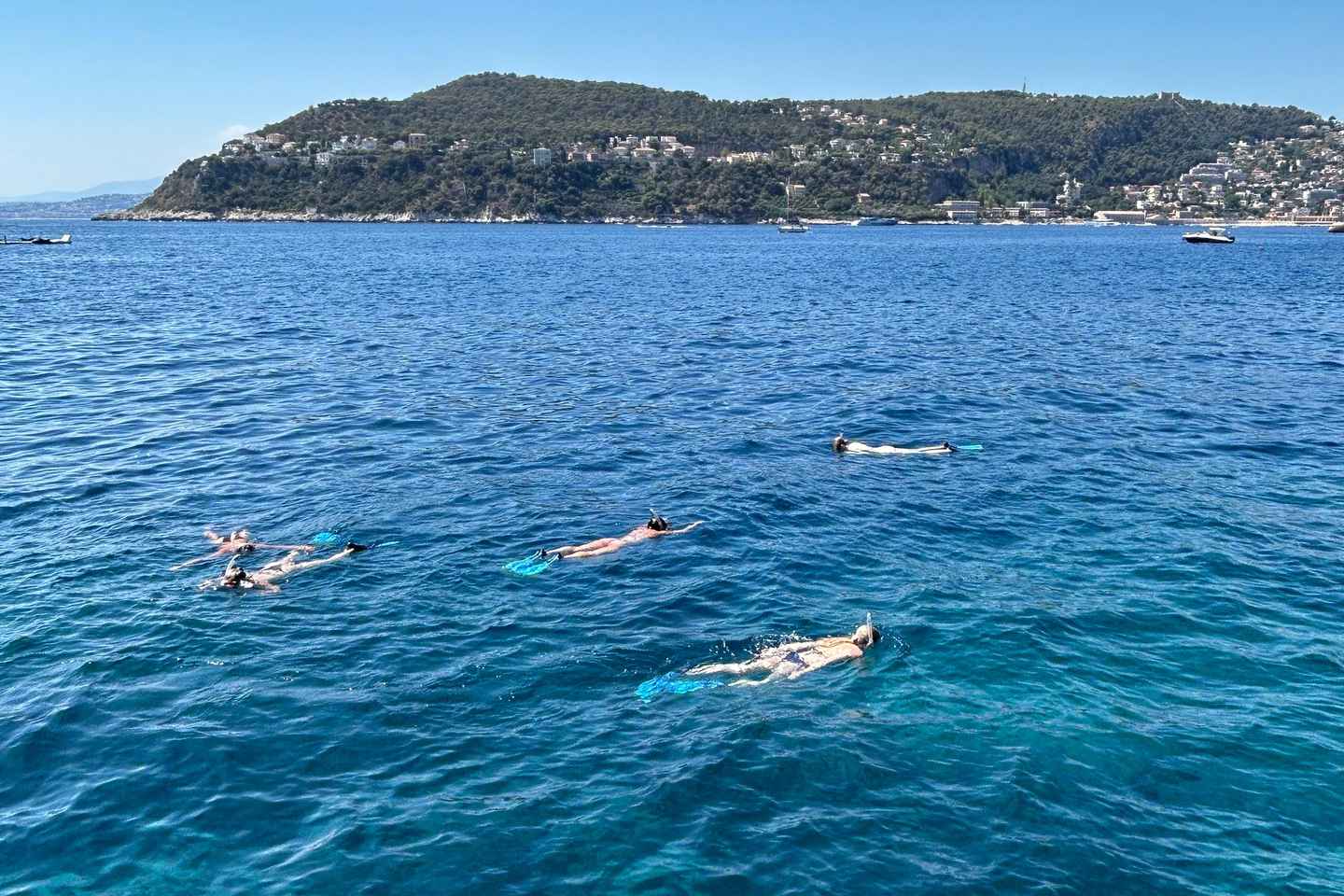 尼斯出发：维尔弗朗什海湾游泳与浮潜船游