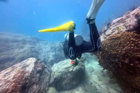 Pattaya: Fun dives in Pattaya and Samaesarn with transfer 3 Dives