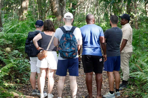 Zanzibar: Jozani Forest, Kuza Cave & Seaweed Farm Tour