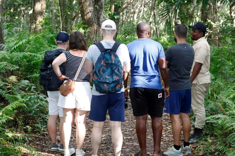 Zanzibar: Jozani Forest, Kuza Cave & Seaweed Farm Tour