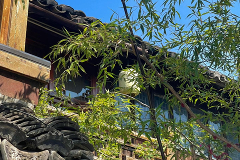 Suzhou:Zhouzhuang Water Town Entry Ticket with Digital Guide