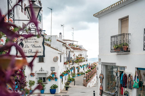 Málaga: Marbella, Mijas,Puerto Banús, Colomares Castle Tour