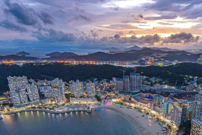 Busan: Excursão guiada de um dia com tema K-drama, café com animais de estimação e piqueniqueBusan: Excursão guiada de um dia com café para animais de estimação e piqueniqu