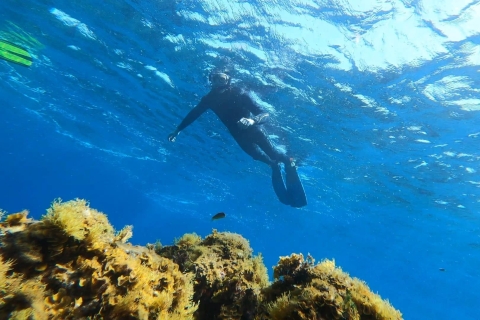 Abades: Snorkeling Tour w chronionym obszarze morskim