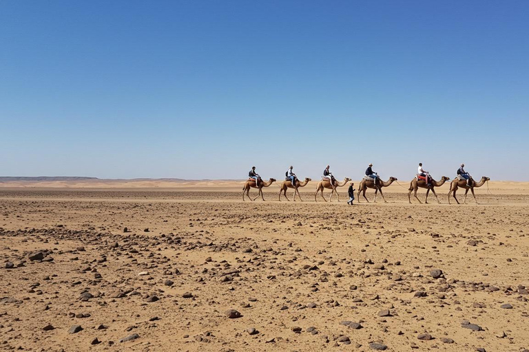 Marrakech: Agafay Wüste Quad &amp; Kamelreiten mit Dinner ShowMarrakesch: Quad- und Kamelritt in der Agafay-Wüste mit Dinner-Show