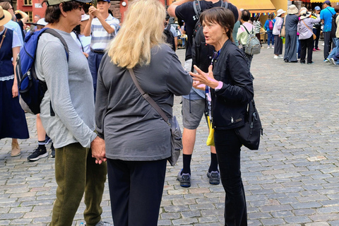 Stockholm: Old Town Walking Tour and the Viking Museum