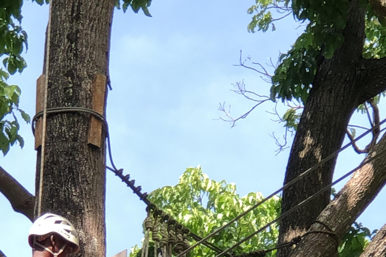 Montego Bay: ATV, Zipline, Catamaran, and Horseback Tour