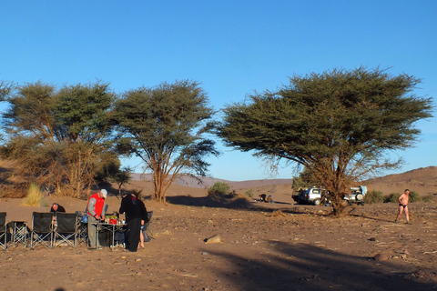 From Agadir: Sahara Desert Buggy Tour with Snack & Transfer