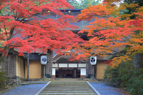 Mount Koya from Osaka: Cultural Small Group Day Tour