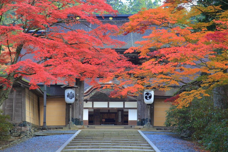 Mount Koya from Osaka: Cultural Small Group Day Tour