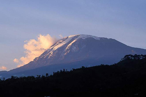 Kilimanjaro in a Day: Unforgettable Marangu Route Adventure