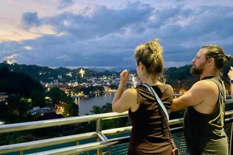 Vanuit Kandy: Sigiriya dagtour met olifantensafari(groep)