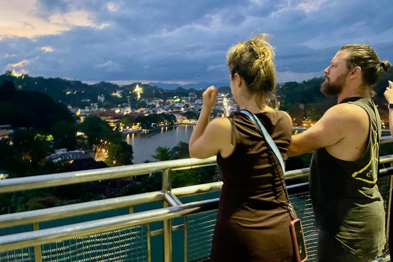 Från Kandy: Sigiriya dagstur med elefantsafari (grupp)