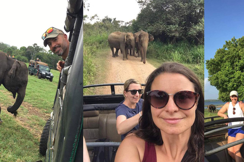 Minneriya: Safári selvagem e passeio turístico em PolonnaruwaSafári selvagem em Minneriya e excursão de um dia a Polonnaruwa