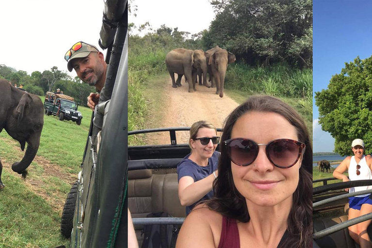 Minneriya Wild Safari i jednodniowa wycieczka krajoznawcza do Polonnaruwy