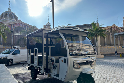 Valencia - Komplette TukTuk Tour 2H