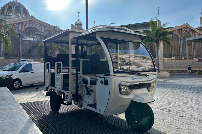 Valência - Passeio completo de TukTuk 2H