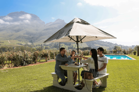 Cape Town: Stellenbosch, Franschhoek and Paarl Wine Day Trip