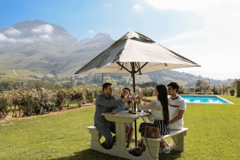 Cape Town: Stellenbosch, Franschhoek and Paarl Wine Day Trip