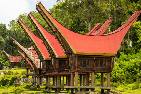 Tana Toraja: 3D2N privétour in Zuid-SulawesiTour zonder vluchten